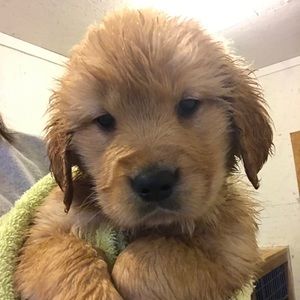 Meet your Posher, Katelynne